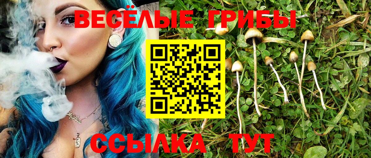 Псилоцибиновые грибы мухоморы  Вход с VPN  Камень-на-Оби  Галлюциногенные грибы прущие грибы 